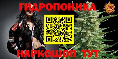 альфа пвп Краснознаменск