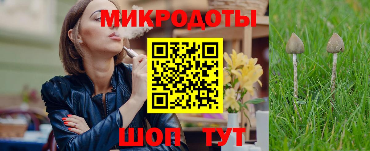 Галлюциногенные грибы Psilocybine cubensis  Псилоцибиновые грибы MAGIC MUSHROOMS  Удомля  Вход с VPN 